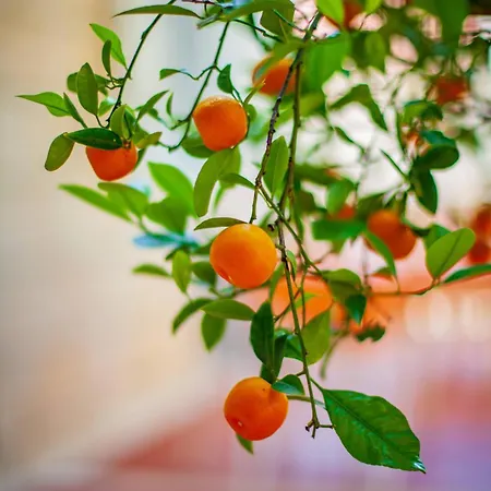 Apartamento Ivana Dubrovnik