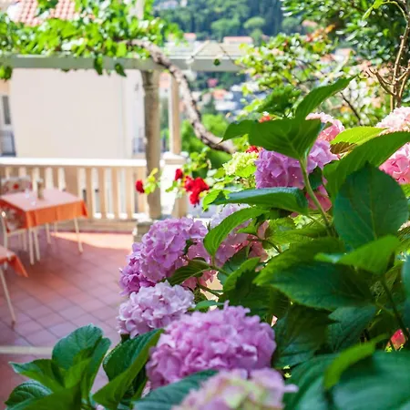 Apartment Ivana