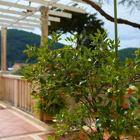 Apartamento Ivana Dubrovnik